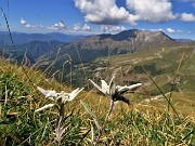 Cima Foppazzi (2097 m) e Cima Grem (2049 m) da Alpe Arera -22ag22- FOTOGALLERY